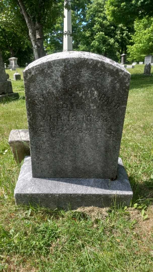 Nicholas Theobald's grave. Photo 4